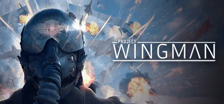 Project Wingman Steam indiriminde 12.50 dolara düştü